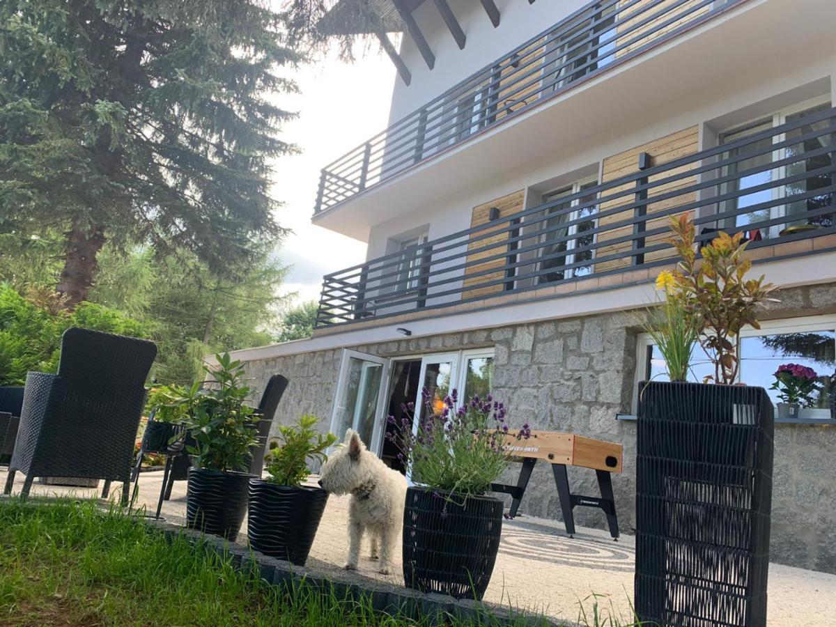 Na Stoku Apartment Swieradow-Zdroj Exterior photo